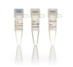 F125S | Phire Hsii Pcr Master Mix