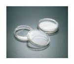 PD2004705 | MilliporeSigma Petri Dishes and Petri Pad Dishes D