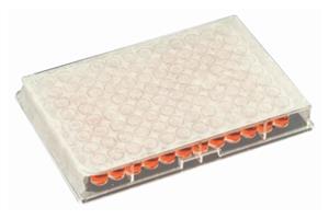 14222044 | Film Breathable Sterile 500cs