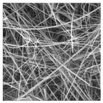 APFB02500 | Gl Fbr Fltr B 25mm 100/pk