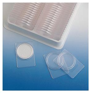 PD1504700 | Plastic Petrislides 100 pk