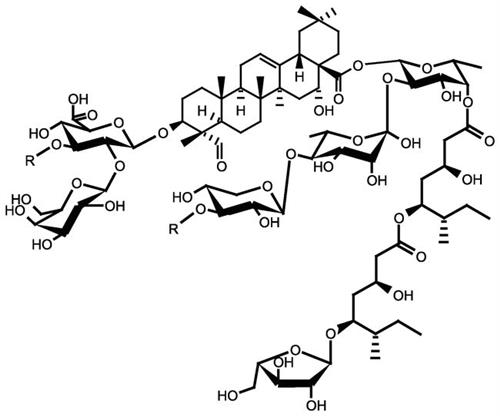 AAA1882014 | Saponin 25g