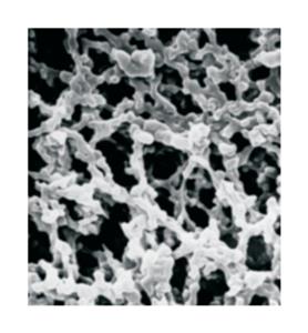 SSWP04700 | MilliporeSigma MF Millipore Membrane Filter 3 um D