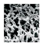 SSWP04700 | MilliporeSigma MF Millipore Membrane Filter 3 um D