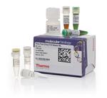 F160L | Phire Plant Direct Pcr Mm