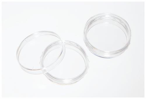 12556002 | Biolite 100mm Tc Dish 200/cs