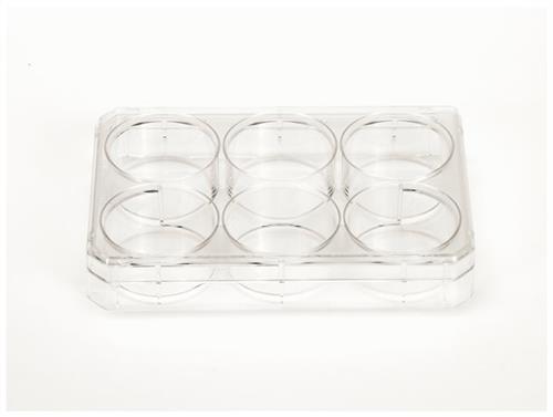 1483211 | Multidish 6 Well W/lid 75/cs