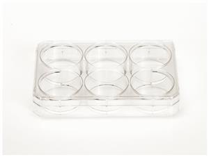 1483211 | Multidish 6 Well W/lid 75/cs