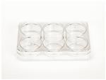 1483210 | Multidish 6 Well W/lid 85/cs