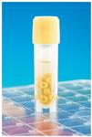 22286157 | Microbank Yellow 80vl/pk