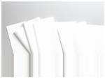 190377806 | Wipers Economiz 800/cs