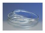 08748B | Bottom Only 100x10mm 12/cs