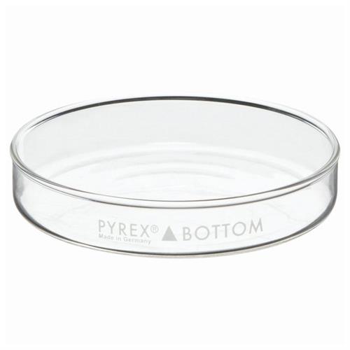 08748C | Bottom Only 100x15mm 12/cs