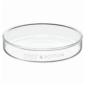 08748C | Bottom Only 100x15mm 12/cs