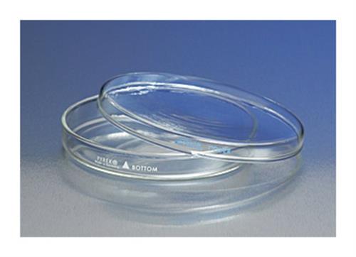 08748F | Bottom Only 150x20mm 12/cs