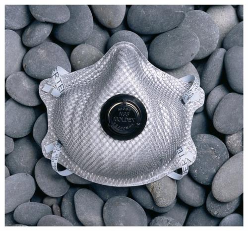 19003246F | N95 Partic Resp Org Vpr 10/pk