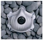 19003246F | N95 Partic Resp Org Vpr 10/pk