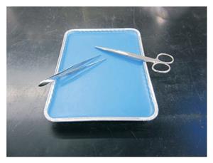 14370284 | Dissection Tray