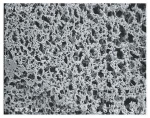R02SP02500 | Nyl Membrane .2um 25mm 100 pk
