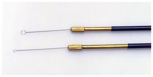 22032088 | Calibrated Loop 10ul 5/pk