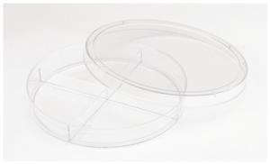 FB087582 | 100x15mm Quad Petri Dish 600cs