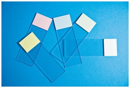 1255006 | Slide Selectfrost Or 144/pk