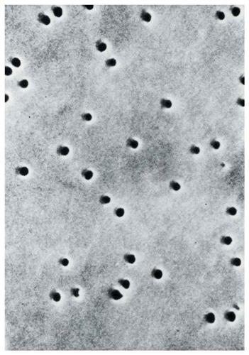 0973227 | Polycarb Memb 5.0 25mm 100/pk