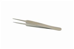 08900 | Dissecting Forceps Straight Ss