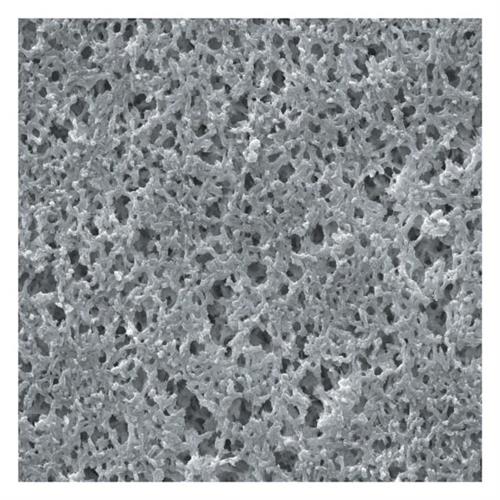 09719008 | Fb Syrflt33mm .45um Nyl 150/pk