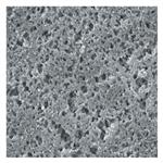 09719008 | Fb Syrflt33mm .45um Nyl 150/pk