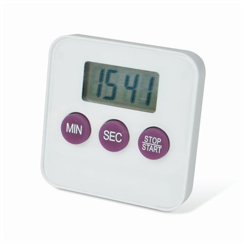 13202733 | Timer Single Channel Durac
