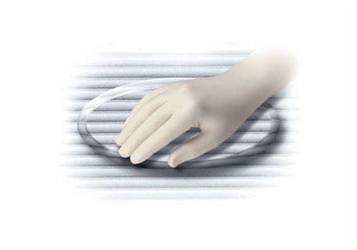 19014689B | Glv Nitrlt Slk 12in Pf Md100pk