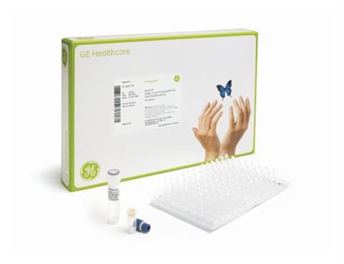 45002384 | Rtg Genomiphi V3 Kit 96 Rxns