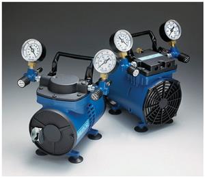 WP6111560 | Vacuum Pressure Pump 115v