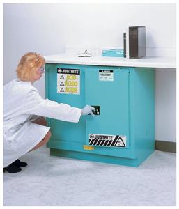 17154C | 22 Gal Uc Cab Acid W/pdle Hndl