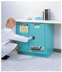 17154C | 22 Gal Uc Cab Acid W/pdle Hndl