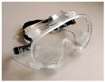 19181502 | Fb Economy Chem Splsh Goggle