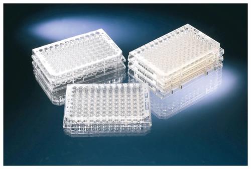 12565212 | Plate U96bacti Sterile 50/cs