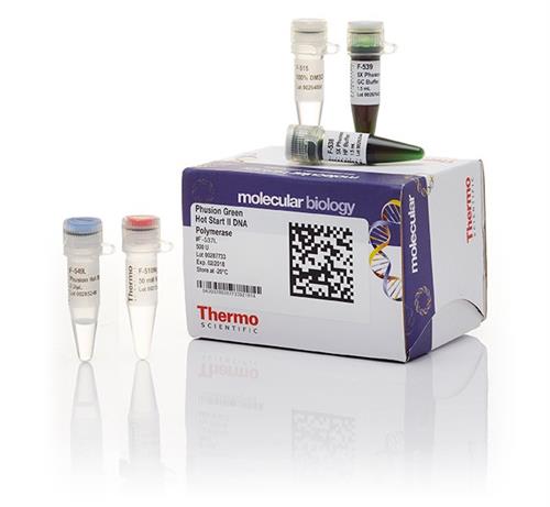 F537L | Phusion Green Hsii Hf Dna Pol