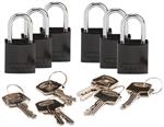 19103547 | Padlocks 133293 6/pk