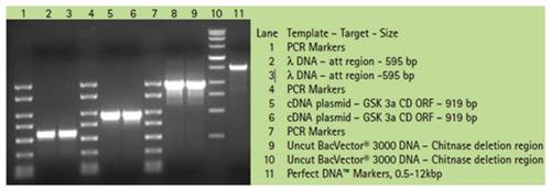 718423 | Kod Hot Start Master Mix