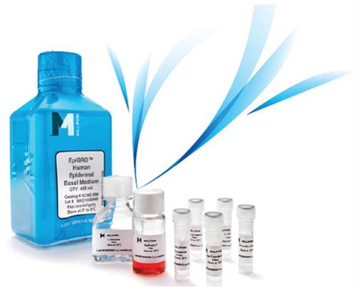 SCME004 | MilliporeSigma Chemicon EndoGRO MV Complete Cultur
