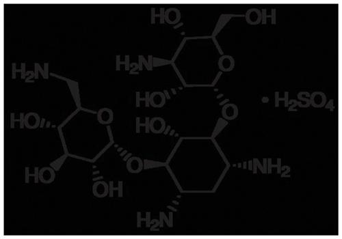 ICN19453101 | MP Biomedicals Kanamycin Sulfate Quantity 1g Forma