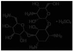 ICN19453101 | MP Biomedicals Kanamycin Sulfate Quantity 1g Forma