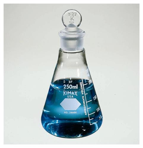 10100E | Flask Erlenm 250ml 2/pk