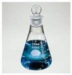 10100E | Flask Erlenm 250ml 2/pk