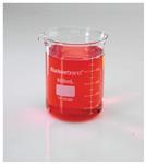 FB100600 | Fisherbrand Reusable Glass Low Form Griffin Beaker