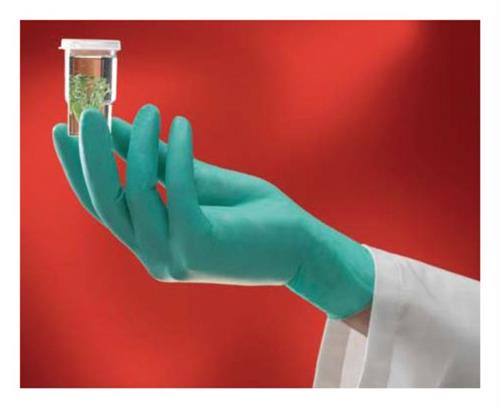 19134504 | Glv Neotouch Pf 5mil Xs 100pk