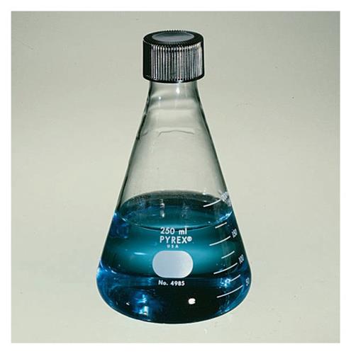 1009310D | Flask Erlenmyr 500ml 6/pk