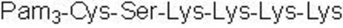 46331 | Pam3csk4 1 Mg